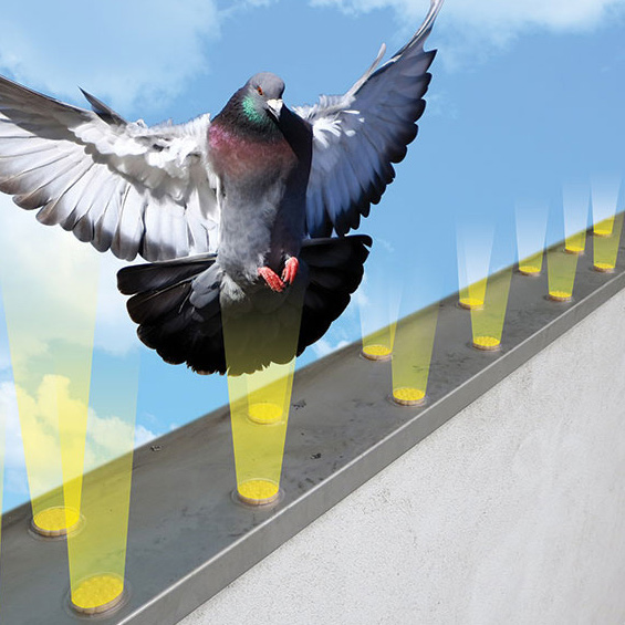 bird barrier optical gel reviews