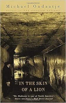 in the skin of a lion review