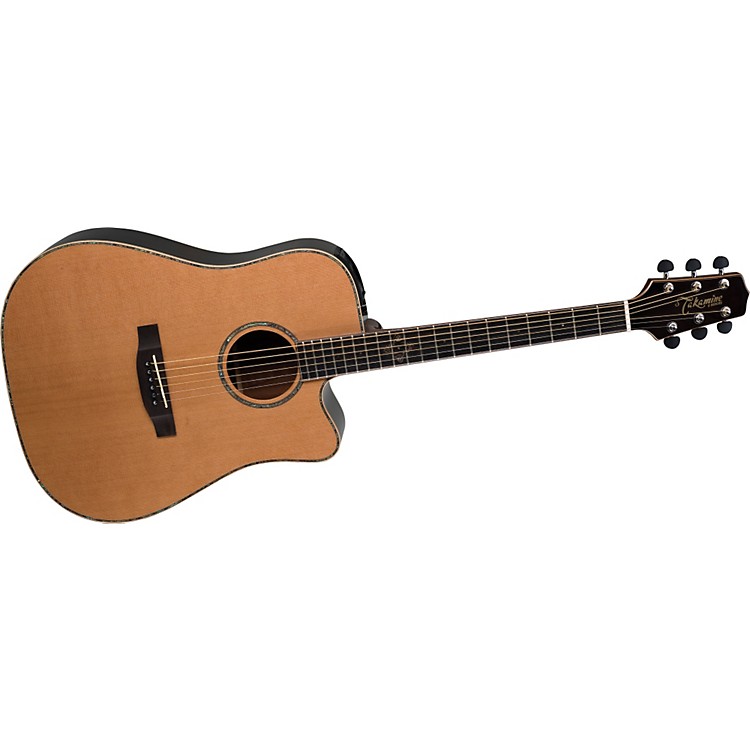 takamine g series acoustic guitar review
